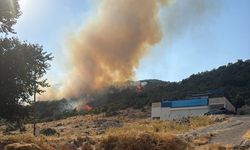 Kaş'ta makilik alanda çıkan yangına müdahale ediliyor
