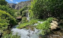 Kayseri’nin Saklı Cenneti! Yeşilköy Şelalesi Büyülüyor