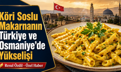 Köri Soslu Makarnanın Türkiye ve Osmaniye’de Yükselişi