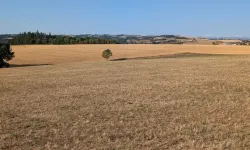 Kuraklık Fransa’nın Yüzde 85’ini Etkisi Altına Aldı