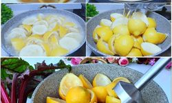 Osmaniye’de Limon Kabuğunun Bilinmeyen Faydaları Neler?