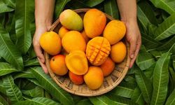 Her Gün Mango Yerseniz Vücudunuzda Bakın Neler Oluyor! Faydaları Ve Riski