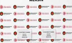 Mersin'de 3 kilo 490 gram kokain ve 122 kilo 300 gram esrar ele geçirildi
