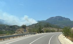 Mersin'de çıkan orman yangını kontrol altına alındı