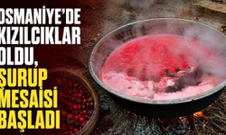 Osmaniye’de Kızılcıklar Oldu, Şurup Mesaisi Başladı
