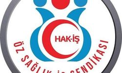 Öz Sağlık-İş Osmaniye’den Özel Güvenlik Görevlileri İçin Yeni Başvuru