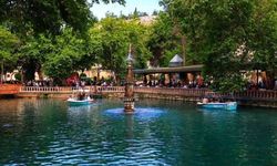 Şanlıurfa Aynzeliha Gölü Ziyaretçilerini Büyülüyor