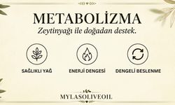 Zeytinyağında polifenol nedir ve neden önemlidir?