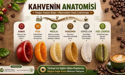 Kahve Çekirdeğinin Katmanlı Yolculuğu