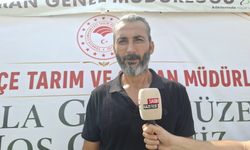 Düziçi’nde Dört Yerli Ayçiçeği Çeşidi Denendi