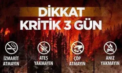 Marmara, Ege ve Batı Akdeniz İçin Kritik! 28-30 Ağustos'ta Yangın Riski Yüksek