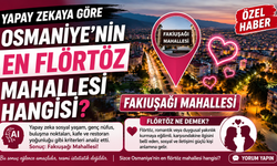 Yapay Zekaya Göre Osmaniye’nin En Flörtöz Mahallesi Hangisi?