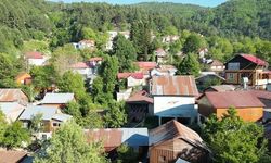 Osmaniye'nin Serin Cenneti Zorkun Yaylası Yaz Sıcağında Nefes Aldırıyor