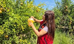 Aksu ve Serik’te Tarımsal Üretim İçin Sıkı Takip