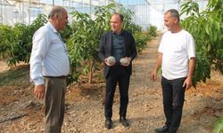 Erzin Kaymakamı Akpınar’dan Üretici Büyükerler’e Ziyaret
