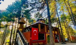 Zorkun Yaylası Sonbahar Renklerine Hazırlanıyor