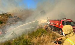 Adana'nın Karaisalı ilçesinde çıkan orman yangınına müdahale ediliyor