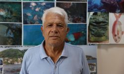 Akdeniz foku yeni doğan yavrusuyla Antalya'da görüntülendi