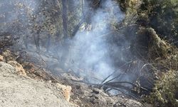 Alanya'da çalılık alanda çıkan yangın söndürüldü