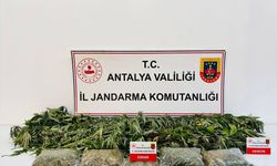 Alanya'da uyuşturucu operasyonunda 1 şüpheli yakalandı