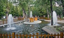 Ankara Çankaya’da Kuğulu Park Ziyaretçilerini Ağırlıyor