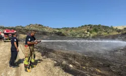 Hatay Kisecik’te Zeytinlik Yangını Kontrol Altında