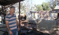 Antalya Serik'teki yangında oluşan hasarın boyutu inceleniyor