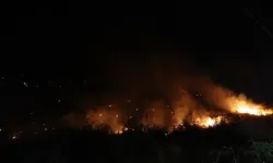 Antalya’da 3 Bölgede Yangın! Evler Ve Seralar Yandı