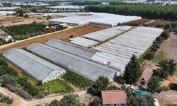 Antalya'da 200 bin dekarlık alandaki seralarda dönüşüm hamlesi