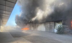 Antalya'da ambalaj deposunda yangın çıktı
