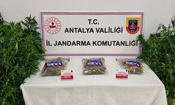 Antalya'da uyuşturucu operasyonunda yakalanan zanlı tutuklandı