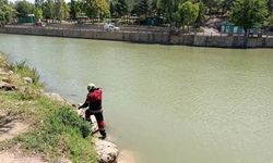 Reyhanlı'da Göl Kenarında Yılan Alarmı