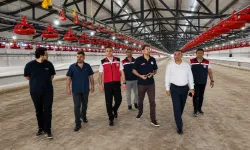 Osmaniye Bahçe'de Tavuk Tesisi İncelendi