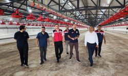 Bahçe’de Tavuk Üretim Tesisine Yakın İnceleme