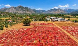 Antalya’da Toprağa Serilen Renkler Halı Geleneği