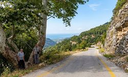 Çataloluk’ta İki Çınar, İki Usta Şair ve Mitisin Yolu