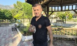 Samandağ ve Reyhanlı’da Hayvanlar Kurtarıldı