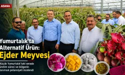Adana Yumurtalık’ta Alternatif Ürün: Ejder Meyvesi