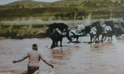 1905’ten günümüze ulaşan tarihi kare! Osmaniyeli Yörüklerin yayla yolculuğu