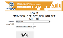 TIPDİL 2026 Sonuçları Açıklandı Mı? 16 Eylül TIPDİL Sonuç Sorgulama Ekranı