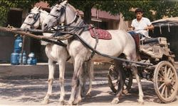 Eski Osmaniye’den Bir Kare: Faytoncu Yusuf
