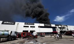 GÜNCELLEME - Mersin'de kimya fabrikasında çıkan yangın söndürüldü