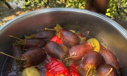 Hatay Antakya'da geleneksel dolma sofraları süslüyor