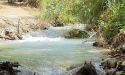 Hatay Defne Aşağı Harbiye’de Doğayla İç İçe Yaşam?