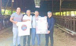 Hatay Erzin’de Festival Hazırlıkları Hız Kazandı