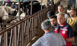 Hatay Tarım Ve Orman Müdürlüğünden Altınözü’nde Hayvancılık İşletmesine Ziyaret
