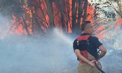 Hatay Arpahan'da Yangın Ekipler Hızla Müdahale Etti