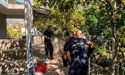 İskenderun’da İtfaiye Eve Giren Yılanı Yakaladı