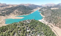 Isparta'daki Başpınar Tabiat Parkı havadan görüntülendi