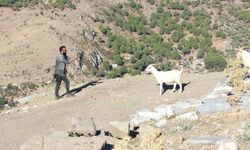 İzmir Pergamon Antik Kenti’nde Tarihe Yolculuk